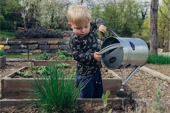 watering trees and shrubs